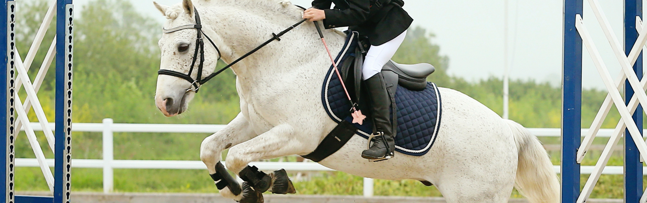 couverture cso poney
