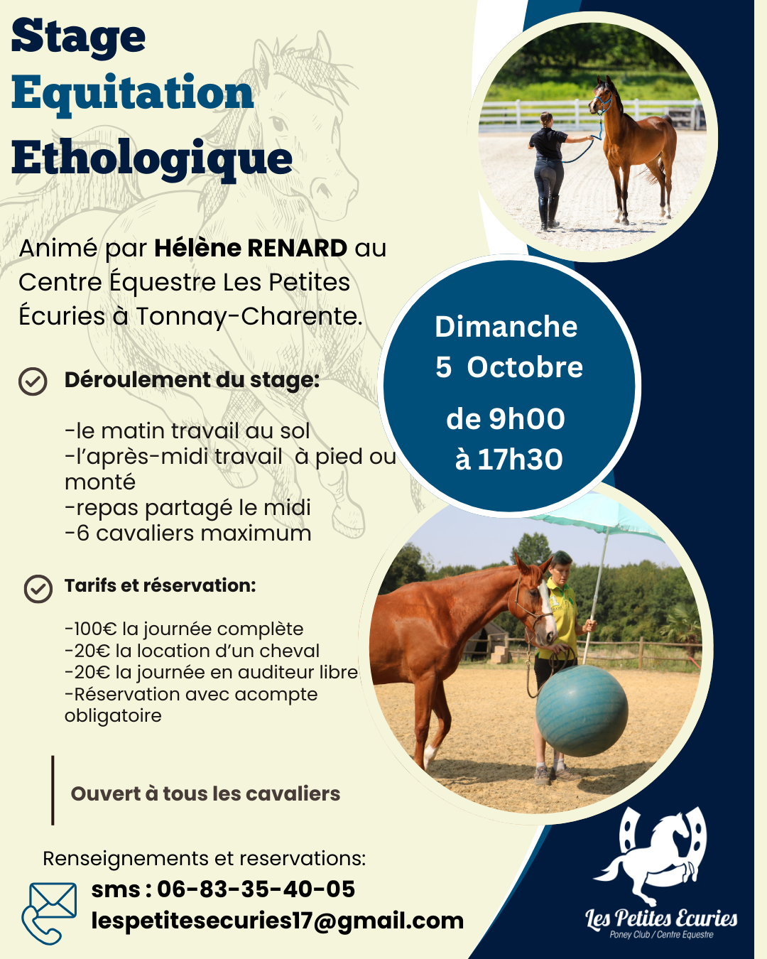 Stage équitation éthologique