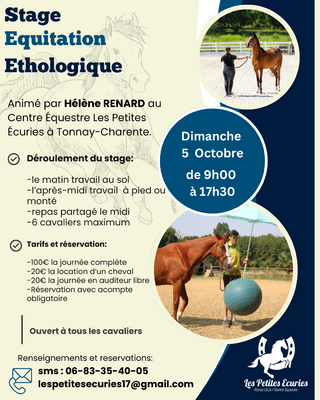 Stage équitation éthologique